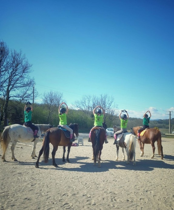 Les cavaliers de l'hippocampe