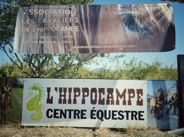 Les cavaliers de l'hippocampe